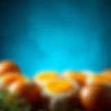 The Role of Raw Eggs in Weight Management: An Analytical Approach Introduction