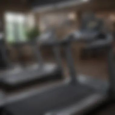 A side-by-side comparison of curve treadmills and traditional treadmills