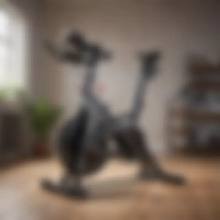 Spin bike with a focus on its adjustable features