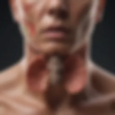 Illustration of the respiratory system highlighting mucus production areas