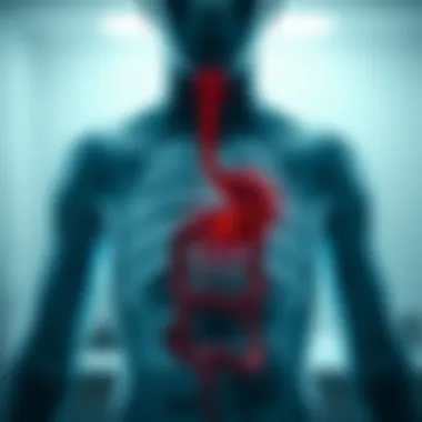 Gastrointestinal Health and Burping Gastrointestinal conditions associated with burping