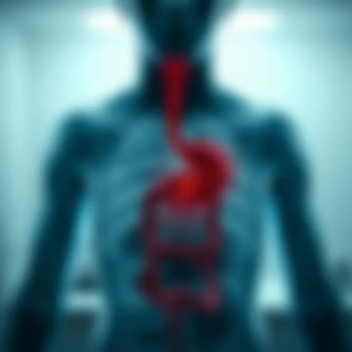 Gastrointestinal Health and Burping Gastrointestinal conditions associated with burping