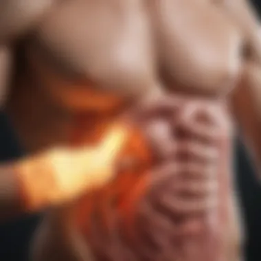 Role of Digestion in Gas Formation Illustration highlighting the digestive tract and gas formation