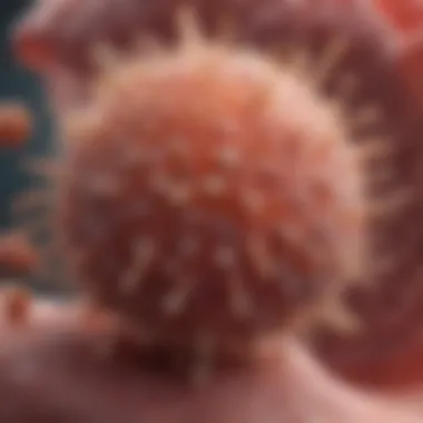 Herpes Simplex Virus Structure Illustration showing the herpes simplex virus structure