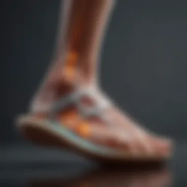 Pressure Distribution in the Foot Foot anatomy showing pressure distribution