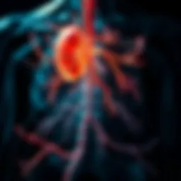 Abstract representation of the physiological response to sickness