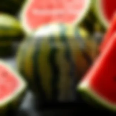 Nutritional breakdown chart of watermelon