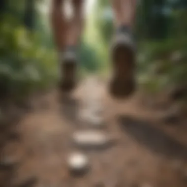 The Journey of Daily Walking Footprints on a scenic trail