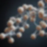 Illustration showcasing the structure of casein protein at a molecular level