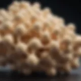 A molecular structure representation of whey protein emphasizing its amino acid profile.