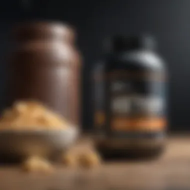 Whey Protein Supplements for Ketogenic Diet An elegant display of various whey protein supplements aligned with a ketogenic meal plan.