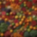 A vibrant assortment of whole foods, showcasing fruits, vegetables, and grains